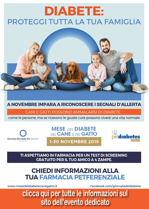 diabete cani gatti nov 2019 500