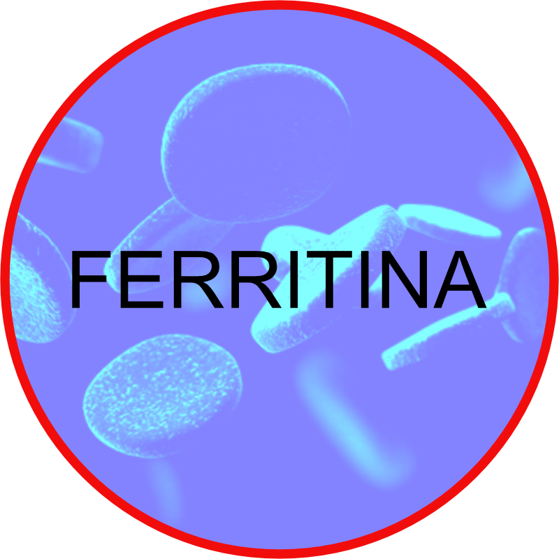 FERRITINA